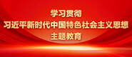 操我屄视频学习贯彻习近平新时代中国特色社会主义思想主题教育_fororder_ad-371X160(2)